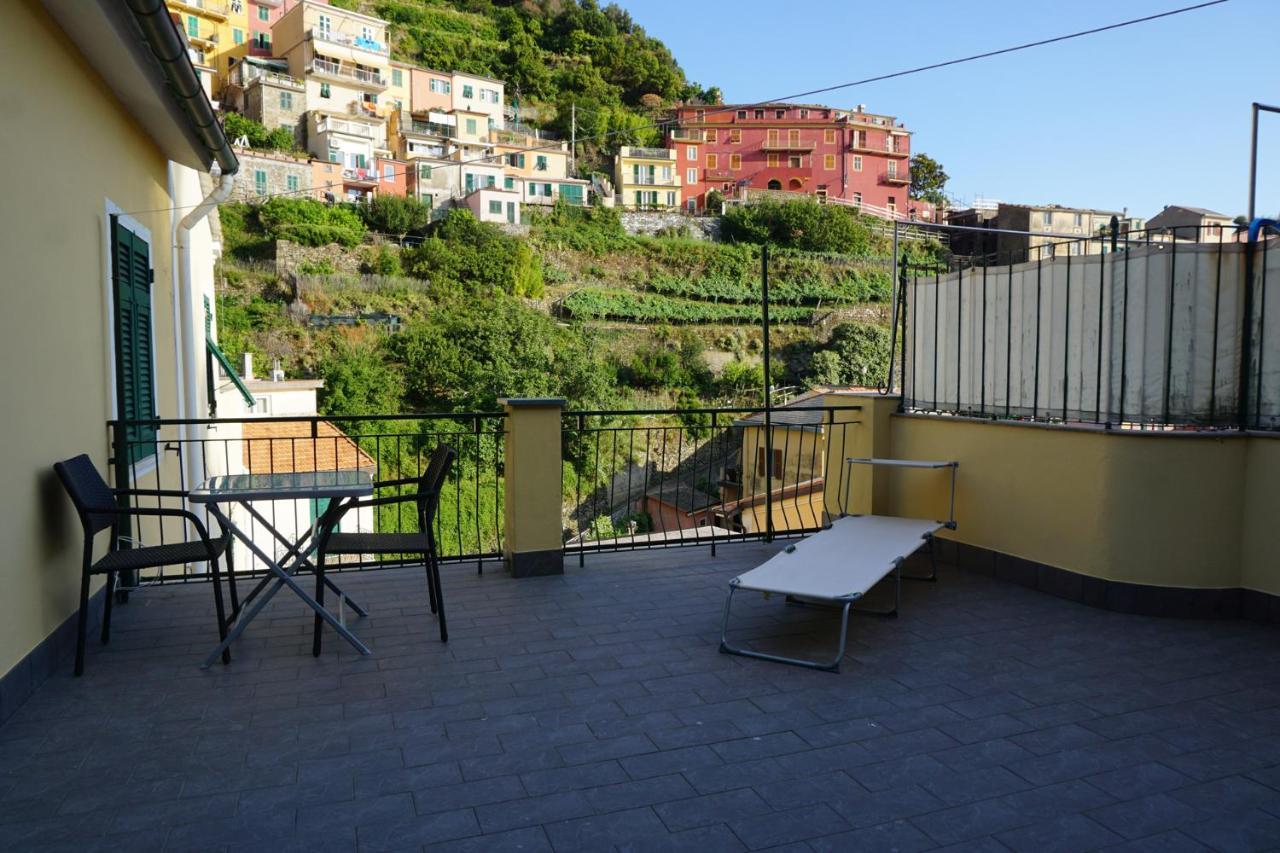 Il Cavalluccio Marino Manarola