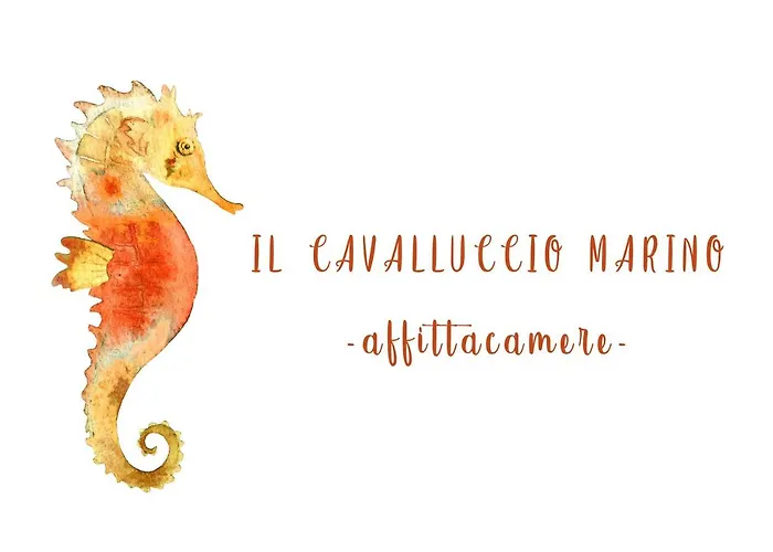 Il Cavalluccio Marino