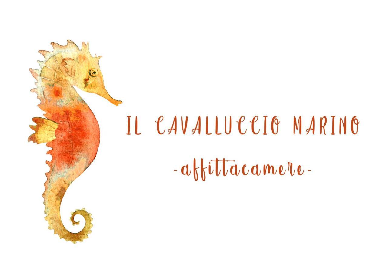 Il Cavalluccio Marino Gasthof