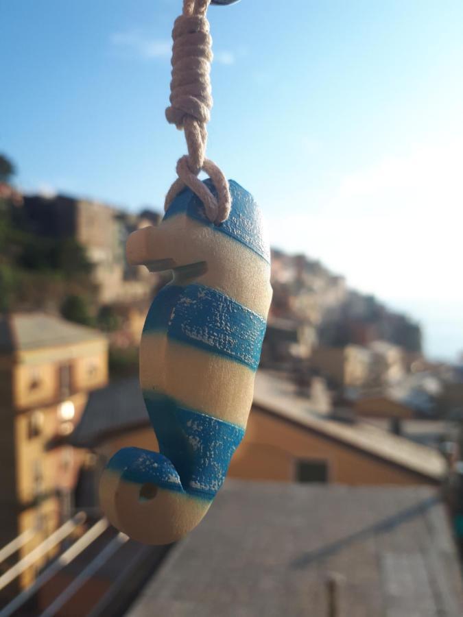 Il Cavalluccio Marino *