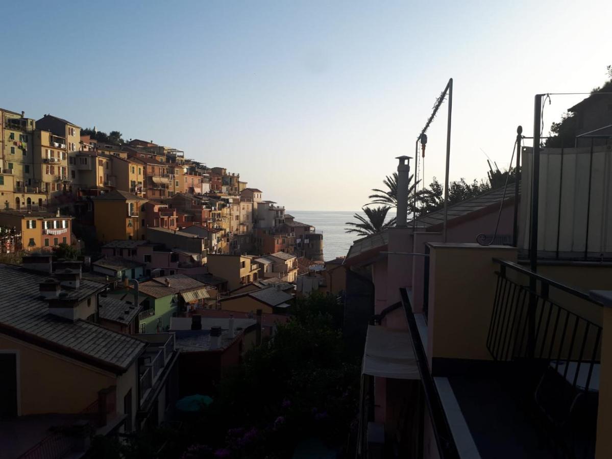 Il Cavalluccio Marino * Manarola